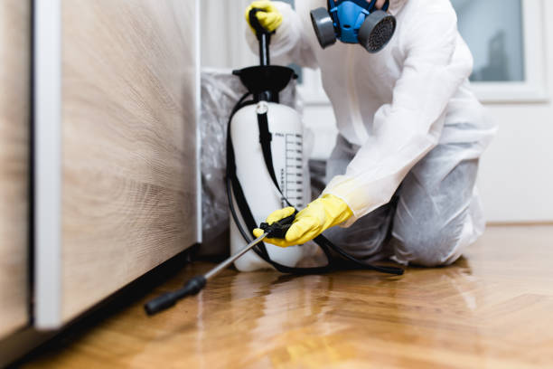Best Exterminator Services  in Jena, LA