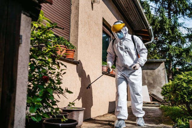 Best Best Pest Control Companies  in Jena, LA