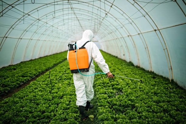 Best Residential Pest Control  in Jena, LA