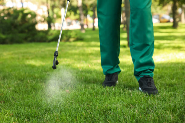 Best Affordable Pest Control Services  in Jena, LA